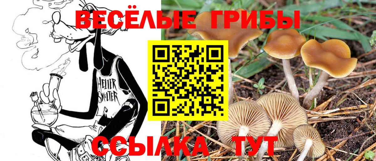 Бутурлиновка  Галлюциногенные грибы Magic Shrooms  Вход с VPN  Галлюциногенные грибы мицелий 